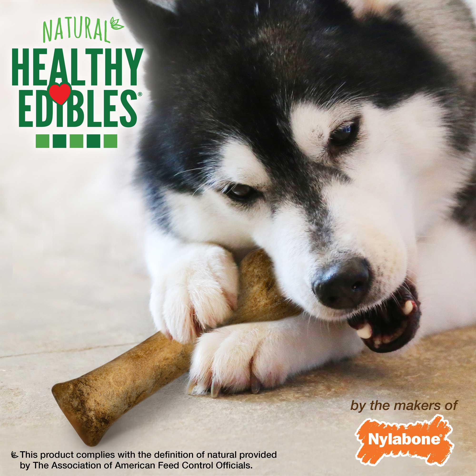 Nylabone Healthy Edibles Chew Treats Roast Beef XL 1 Pack