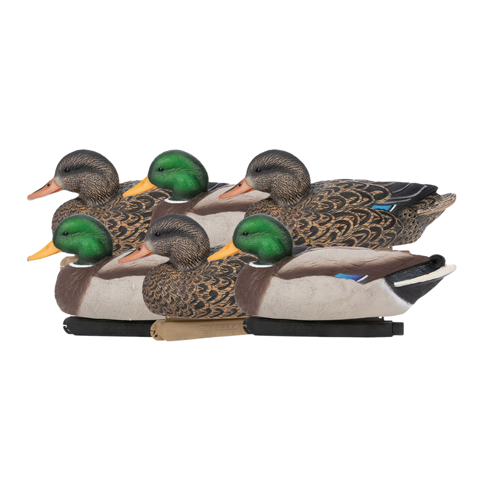 6 Decoy Hunting hot Ducks