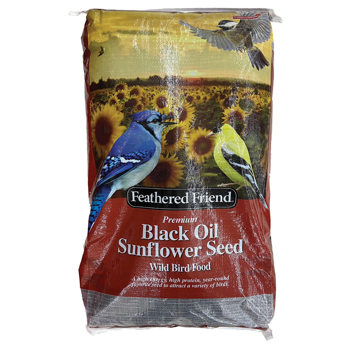 black oil sunflower seed 40 lbs