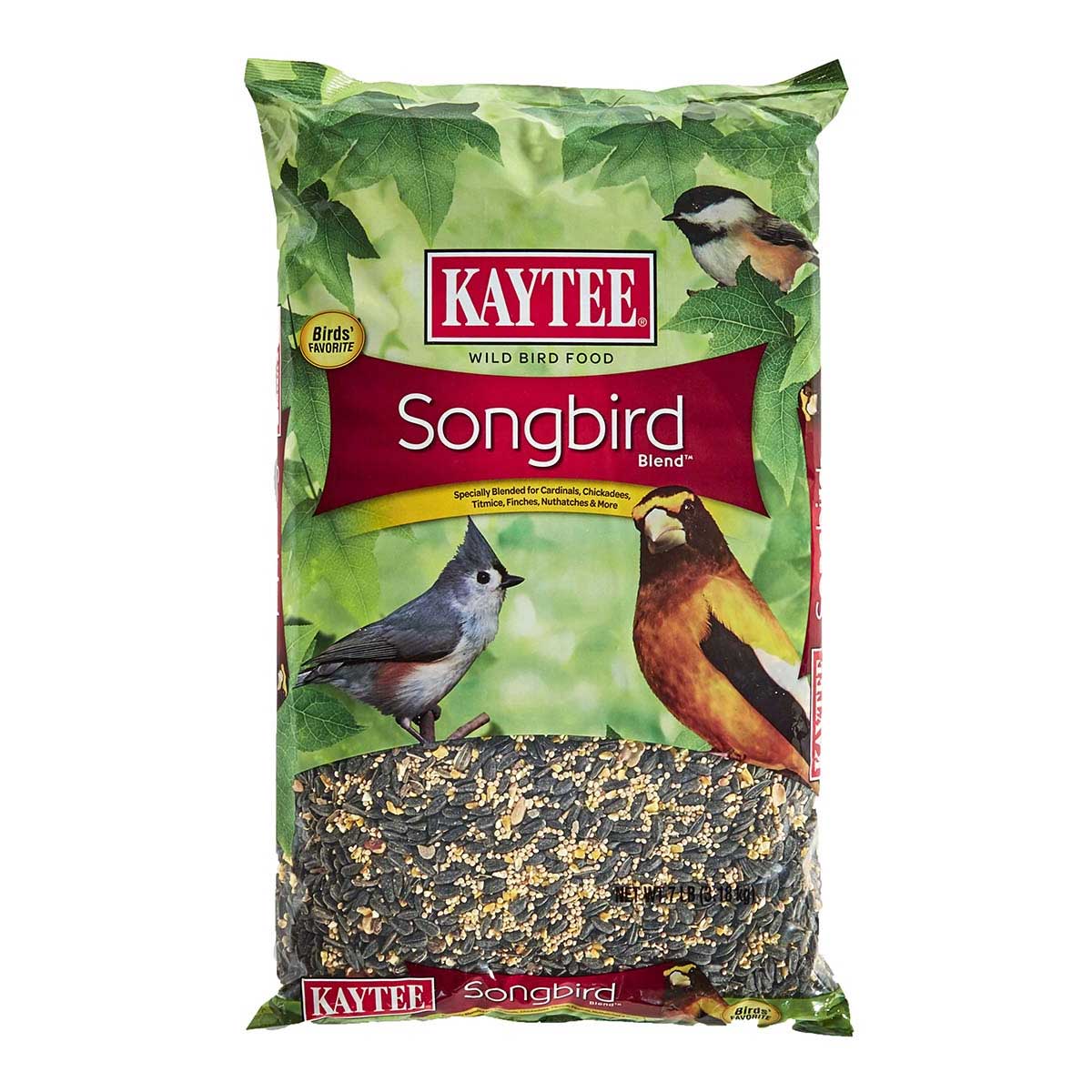 kaytee songbird blend